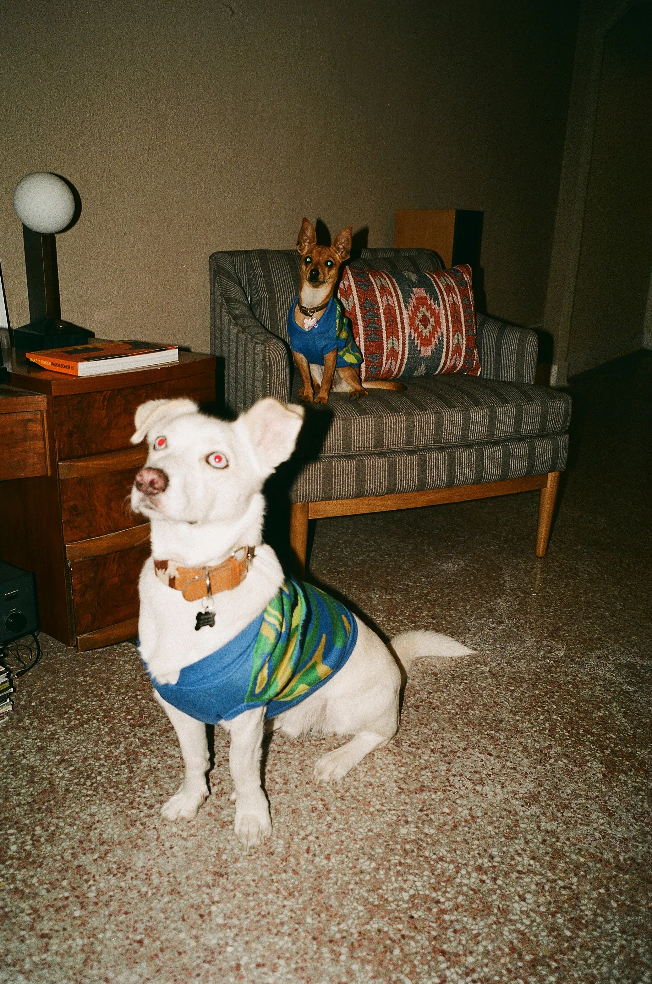 agador sweater in palawan marble