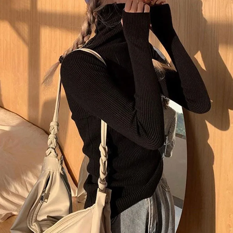 Black High Turtle Neck Flat Knit Top