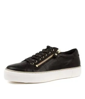 Django & Juliette Froggy Sneaker