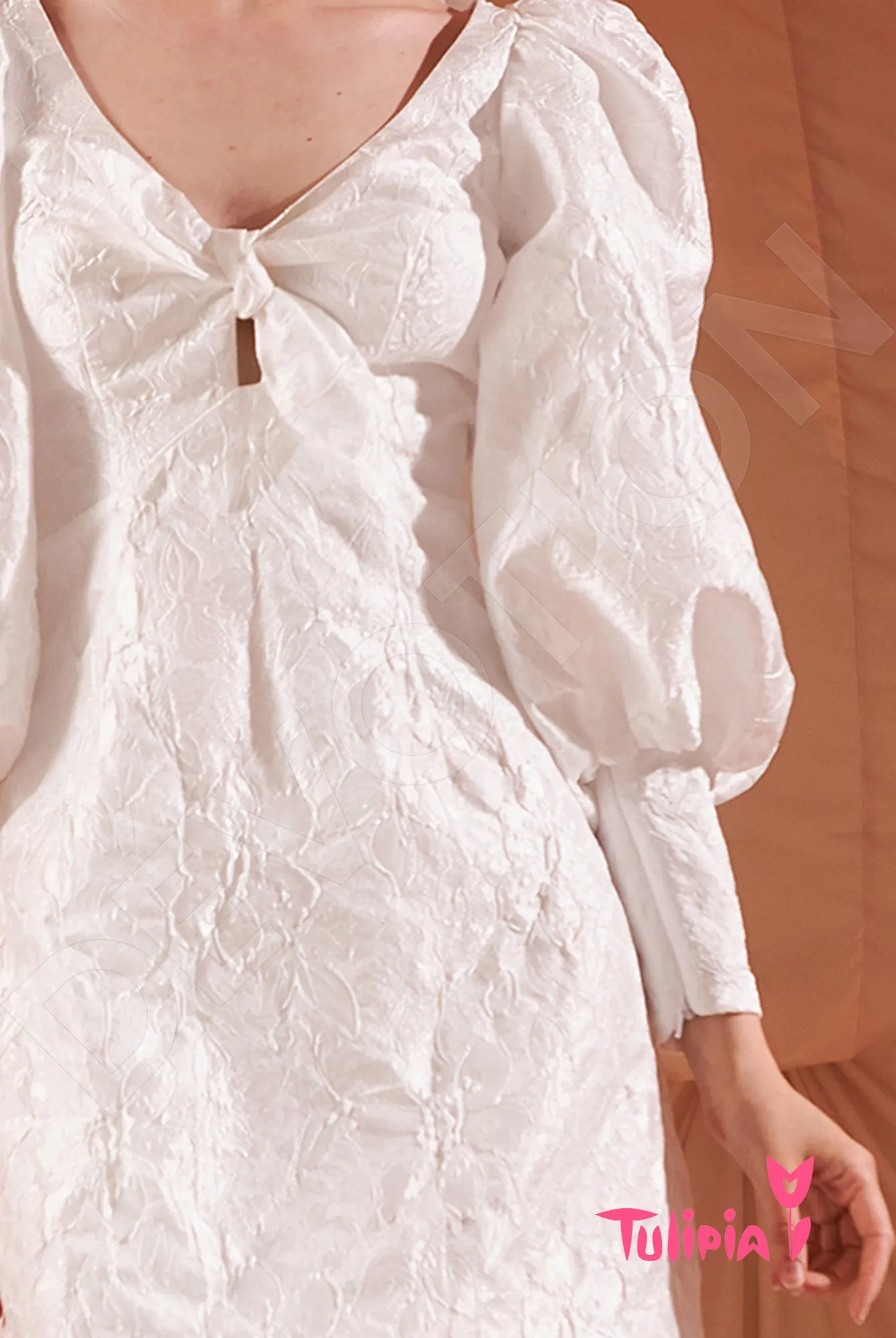 Dzholenda Sheath/Column V-neck Milk Wedding dress
