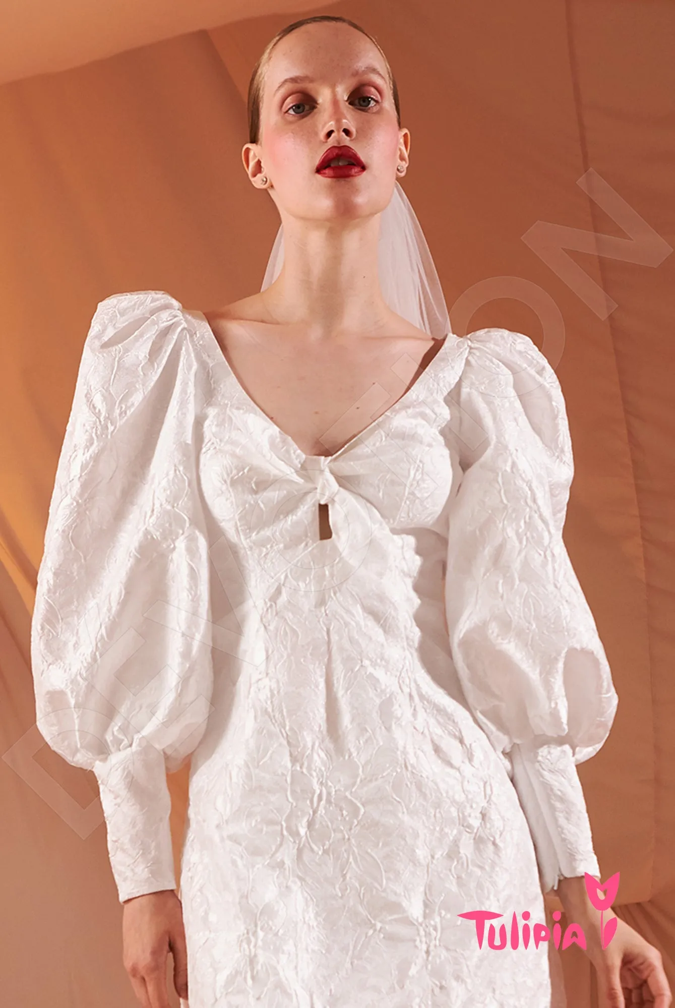 Dzholenda Sheath/Column V-neck Milk Wedding dress
