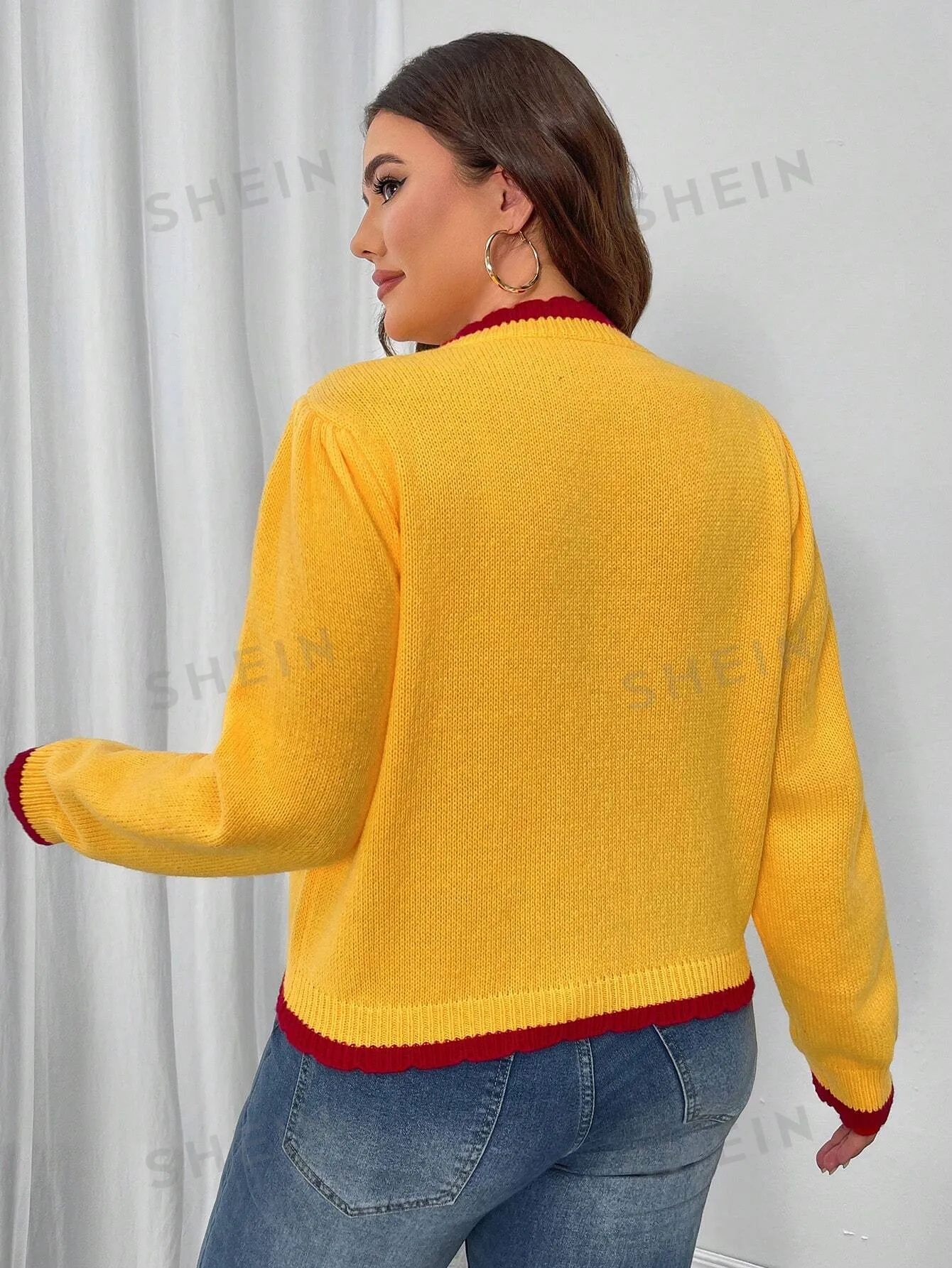 Essnce Plus Size Women Cherry Embroidery Colorblock Long Sleeve Pullover Sweater