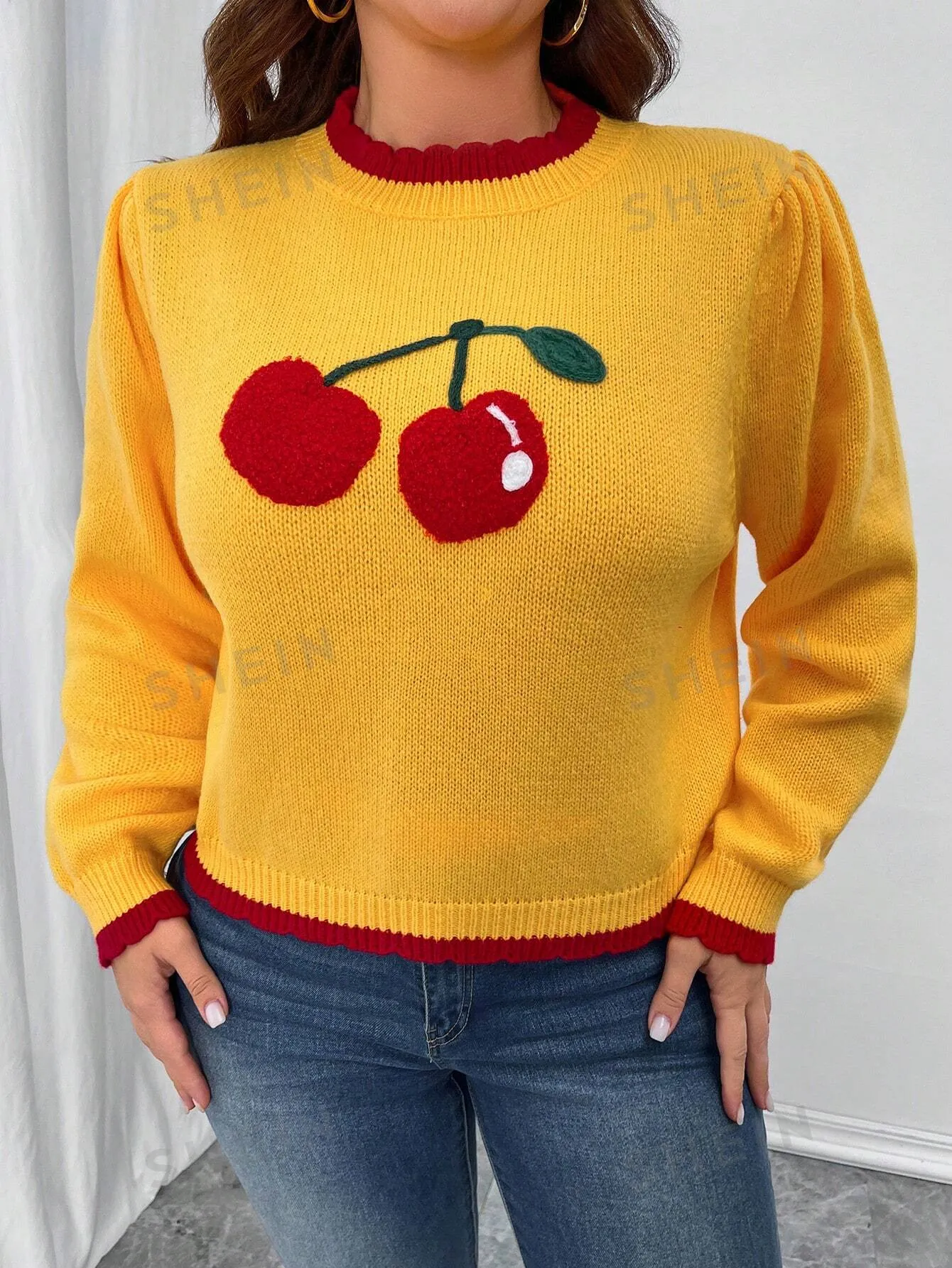 Essnce Plus Size Women Cherry Embroidery Colorblock Long Sleeve Pullover Sweater