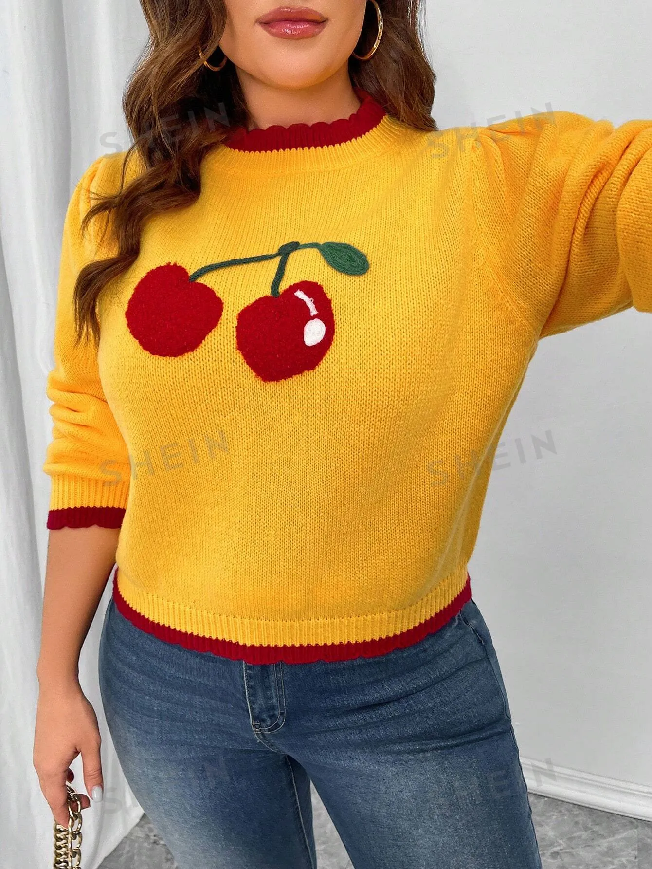 Essnce Plus Size Women Cherry Embroidery Colorblock Long Sleeve Pullover Sweater