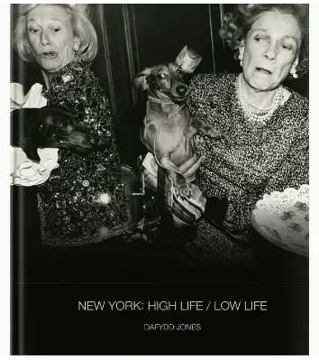 New York: High Life Low Life Book