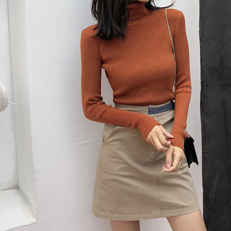 Rust High Neck Sweater Top