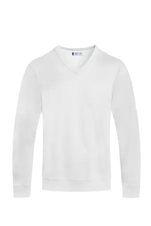 Solid V-Neck Sweater